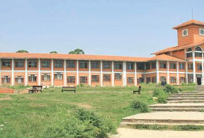 Transitioning to Research in a Subaltern University